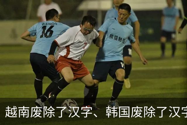 越南废除了汉字、韩国废除了汉字、日本也搞去汉字化，结果呢？越南彻底改用拉丁国语字，扫盲是快了，可当代越南人彻底看不懂自家古籍典章